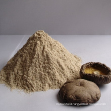 Dried Shiitake Mushroom Powder Extract